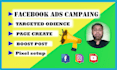 do your facebook ads manager and boost campaign