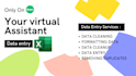 excel data cleaning, data entry, and formatting