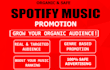 do professional spotify music promotion through ads campaign