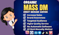send  manual dms daily for linkedin, instagram and twitter
