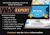 design wix website and redesign a business wix website