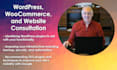 consult with you about any wordpress, business, or website issue