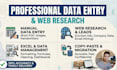 do excel data entry, shopify data entry, CRM data entry