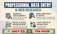 do excel data entry, CRM data entry, shopify data entry