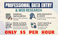 do excel data entry, CRM data entry, shopify data entry