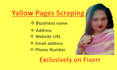 yellow pages scraping with email and phone number