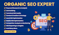 be your wordpress and shopify SEO specialist