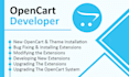set up opencart with custom solutions, theme and seamless integration