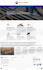 make business website using wordpress