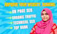 do expert wordpress website optimization on page technical SEO for fast ranking