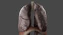 create 3d modeling and texturing of any type