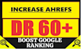 increase domain rating dr 60 plus