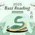provide a professional bazi reading