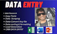 do data entry,copy paste, web research, and excel data entry