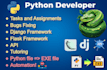 solve python task python assignment python script automation