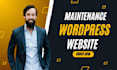 do monthly wordpress website maintenance, support, and updates