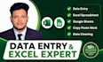 do data entry, excel and google sheets work accurately