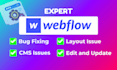 expertly fix webflow bugs, issues and solve errors