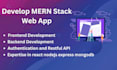 develop custom web applications