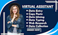 be your virtual assistant for data collection, copy paste, and data entry