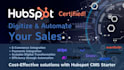 setup your hubspot CRM sales and service professional