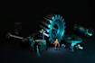 asset leasing and asset maintenance software