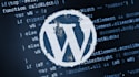 customize wordpress, fix errors, edit theme