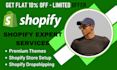 create shopify droppshipping store, build shopify website