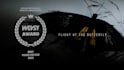 professional editing of your events, trailers