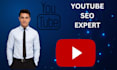 do youtube seo expert and optimization