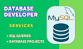 write sql queries and create database projects