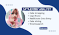 do data entry and copy paste job