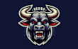 make an amazing angry bull head mascot logo for your business