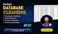 be excel contact database cleaning and formatting expert