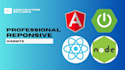develop web application using react,next js, angular, node js