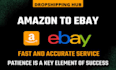 ebay and amazon drop shipping