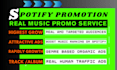 do professional spotify music promotion