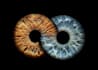turn your eyes into art
