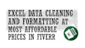 do excel data cleaning at an affordable rate