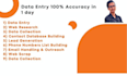 very fast  delivering data entry in 10 hours, data research
