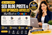 write SEO optimized  blog posts and website content