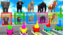 create long slide game 3d animals