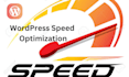 extend wordpress speed optimization with wordpress page speed