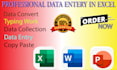 do data entry, copy paste, web research, excel data entry