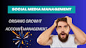 be your social media marketing manager and content creator