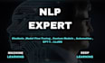provide expert nlp, ai and machine learning solution