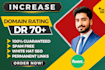 increase ahref domain rating DR 70 plus fast service
