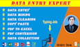 do data entry, data copy paste, data analysis, web scraping, pdf convert, excel