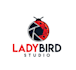 design highest level exceptional ladybird studio logo
