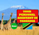 assist you with anything about tanzania